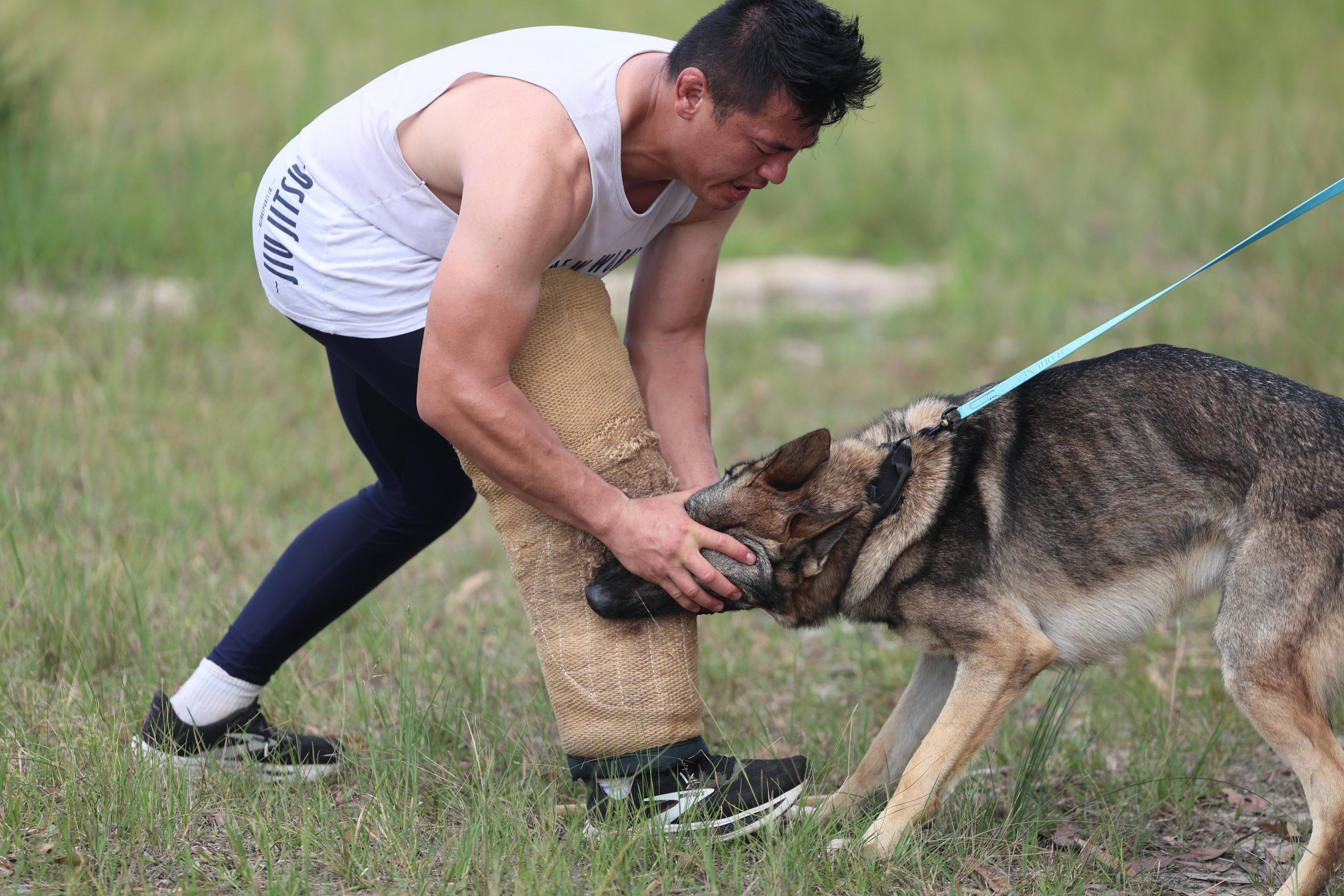Andrew Boh — Flow K9 founder and lead trainer
